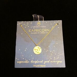 14K Gold Dipped Capricorn Necklace